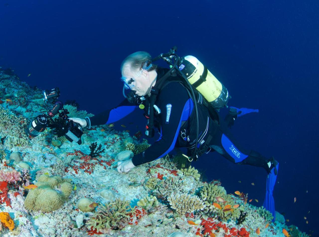 ホテルSouth Ari Dive Center ダンゲシ エクステリア 写真