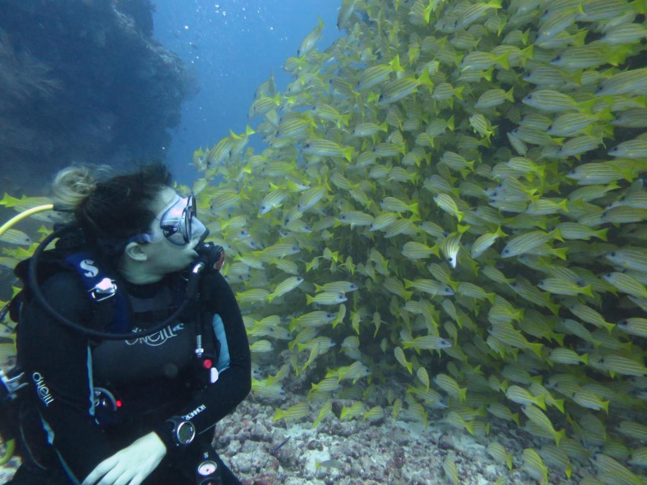 ホテルSouth Ari Dive Center ダンゲシ エクステリア 写真