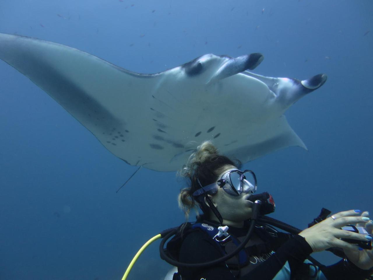 ホテルSouth Ari Dive Center ダンゲシ エクステリア 写真