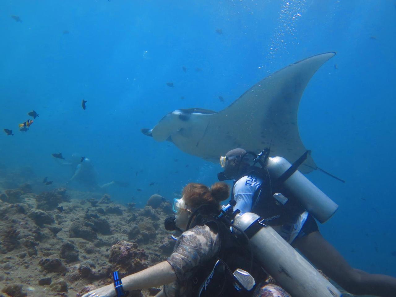 ホテルSouth Ari Dive Center ダンゲシ エクステリア 写真