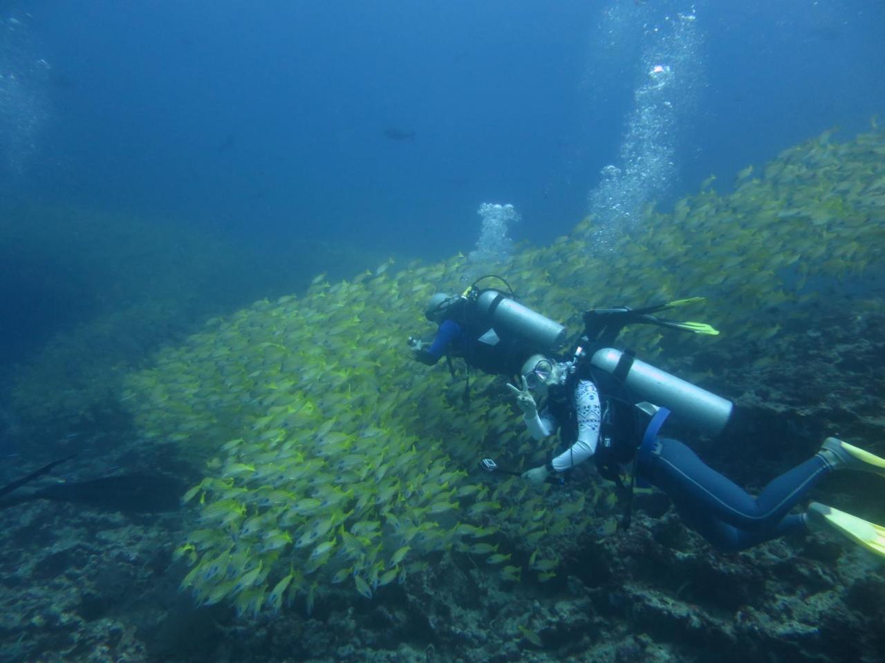 ホテルSouth Ari Dive Center ダンゲシ エクステリア 写真