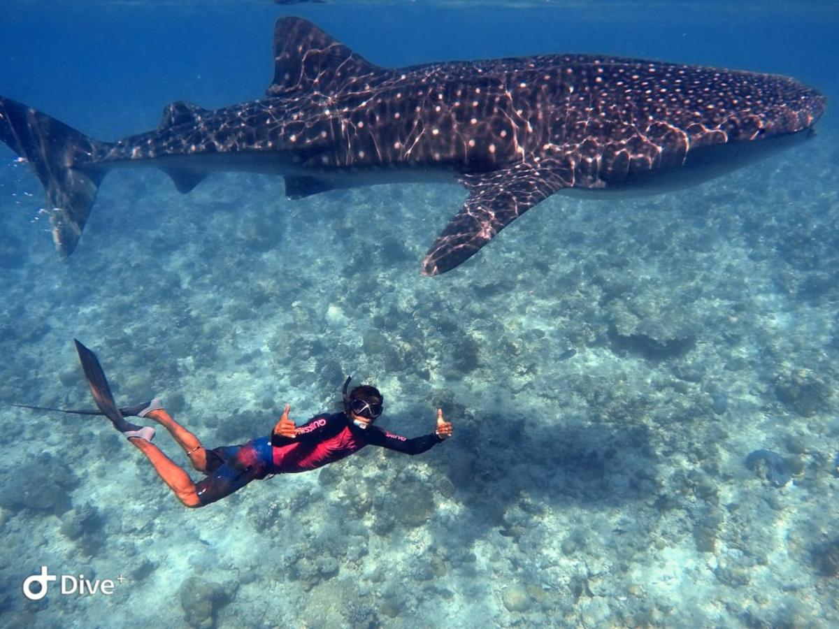 ホテルSouth Ari Dive Center ダンゲシ エクステリア 写真